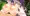 ペパロニにこっそりお願いしてみた！