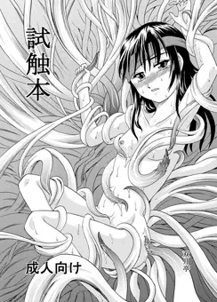 試触本