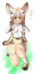 すなねこ