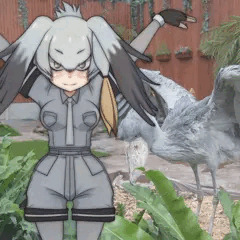 粗ぶってるわけじゃないハシビロコウのポーズ