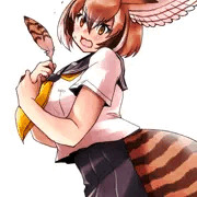 たまたま抜け落ちた羽根を拾って