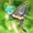 エタニティラルバ
