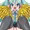 がんばれ♥がんばれ♥