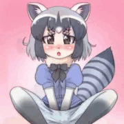 ヨシ、アライさんはシコるのだ！