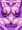 女体化ラマダ正常位　先行公開
