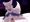 狐戌也 くろんちゃん【ドスケベFAスト】