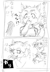 猫に棒