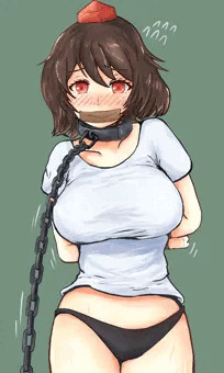 射命丸拘束