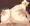 藍しゃま