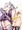 FGO