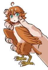 ハーピー鷲掴み