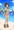 さわやか夏ムスメ