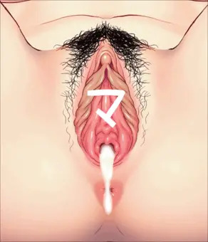 中出氏