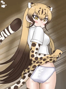 チーターさん