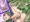 【コミッション】サリア