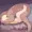 シャルミアちゃん最奥までしっかりねじ込みドットうごイラ