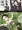 卒業写真