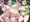 【skebリクエスト】オリキャラちゃん肉体改造