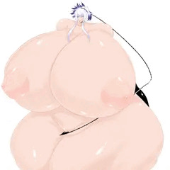 刀剣乱舞より女体化人間無骨