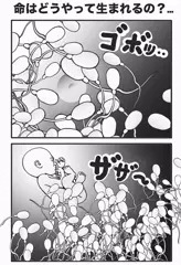 男と女が愛し合って、新しい命が生まれます♡