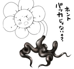タイツフラウィ