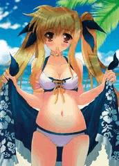 海 x 夏 x フェイトちゃん