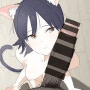猫ちゃん