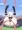 テンタクルホールド
