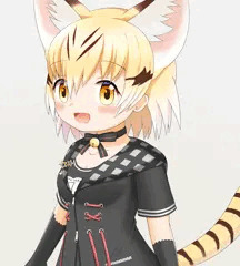 スナネコ