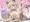 ふたなり逆アナルラミ