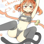 猫の日小鈴
