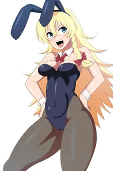 バニーの日