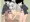 性処理係ようむちゃん