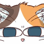 めんち🐾Menchi🔞