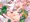 おねシ○タスワッピング♥