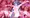 触手にもてあそばれる魔法少女２