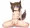 ちょっと前の