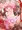 ★ひめはじめ★