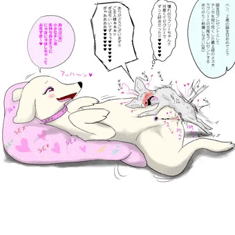 ヘボ犬の幸せ