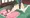 めぐみんに後ろから　GIFアニメ