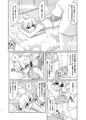 第１３回東方紅楼夢新刊