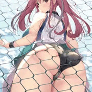 フェンス越しのブレマートン
