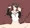 女体化スコールさん