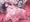 saki_20230530