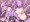 結月ゆかりと愉快な触手たち