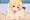 ビヤクオチ