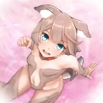 近犬化改修