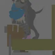 踏んだり蹴ったり