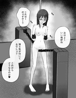 ブラシ装置責め
