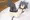 悪戯してみよう
